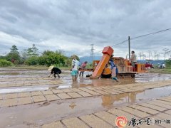 为粮食平安和村落复兴供给农